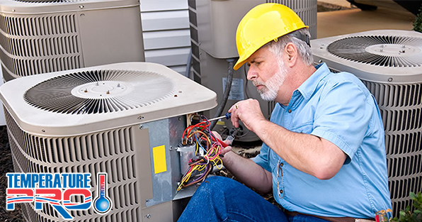 The Temperature Pro Franchise is HOT!