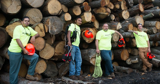 An IFPG Consultant Brings Three New Monster Tree Franchises to Grand Rapids