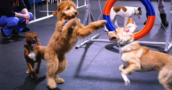 An IFPG Consultant Helped His Candidate Join The Zoom Room Franchise in Utah!