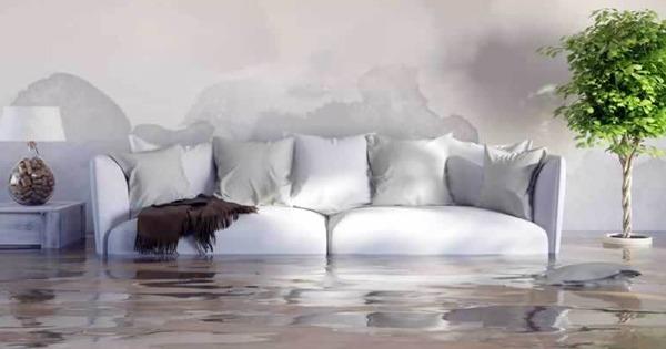 An IFPG Consultant Helped His Candidate Join The All Dry Franchise in Omaha, NE!