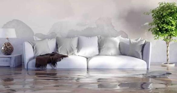 all Dry Franchises are Coming to Two Territories in Dallas