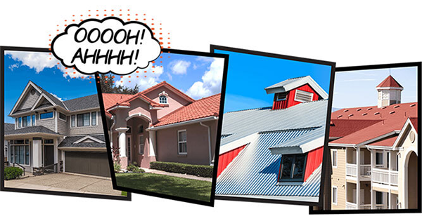 IFPG Consultant's Fit for The Mighty Dog Roofing Franchise