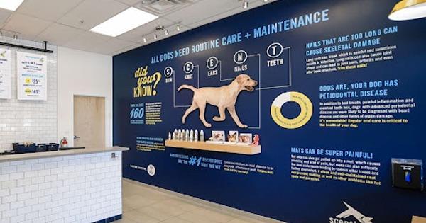 All IFPG Members Come Together To Award a Scenthound Franchise in Colorado!