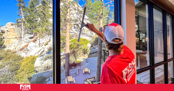 Fish Window Cleaning Franchise Success Story in Chandler, AZ