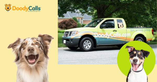 DoodyCalls Franchise Awards Chicago, IL Territory