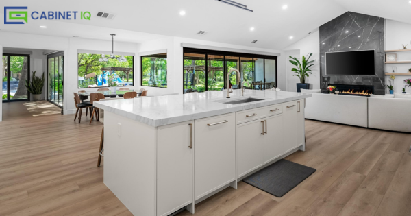 Cabinet IQ Franchise Success Story in Tampa, FL