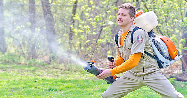 Mosquito Hunters Franchise Expansion in Clearwater, FL