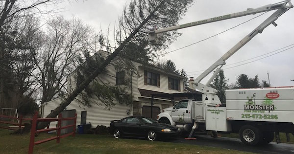 Monster Tree Service Closes a Two-Territory Deal in TN