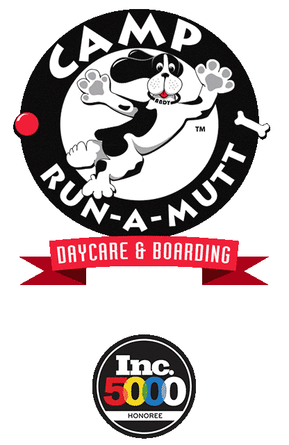 Camp Run-A-Mutt